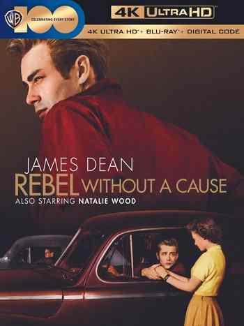 4K UHD 无因的反叛/阿飞正传 REBEL WITHOUT A CAUSE‎ (1955) 豆瓣8.0 