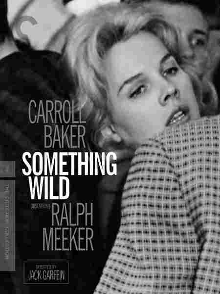 断肠孤凤 SOMETHING WILD‎ (1961) CC标准版 豆瓣6.9 
