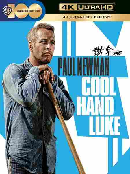 4K UHD 铁窗喋血/冷手卢克 COOL HAND LUKE (1967) 豆瓣8.1  