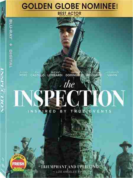 检阅日 THE INSPECTION (2022) 豆瓣6.2 