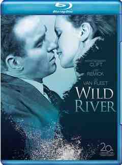BD50-2D 狂澜春醒 WILD RIVER (1960) 豆瓣7.1 