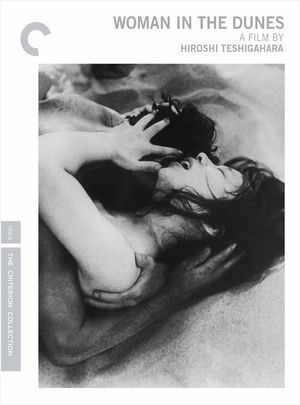 砂之女 CC收藏版 日本 SUNA NO ONNA/WOMAN IN THE DUNES 豆瓣8.4 