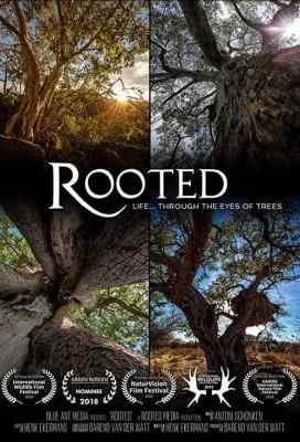 生命之树 ROOTED‎ (2018) 带国配 高清版 