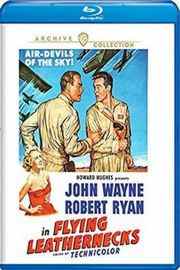 浴血火海/太平洋航空作战 FLYING LEATHERNECKS (1951) 豆瓣6.1  