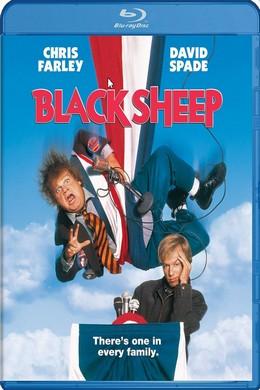 黑羊/冒牌大间谍 BLACK SHEEP (1996) 豆瓣5.7  
