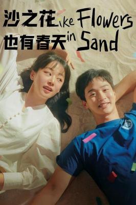 沙之花也有春天 2碟装 2024年最新青春浪漫韩剧 