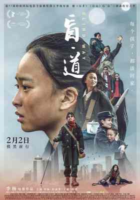 盲道‎/盲流 (2017) 高清版 豆瓣5.0 