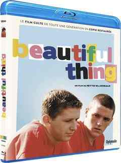 美好事物/愈爱愈美丽 BEAUTIFUL THING (1996) 豆瓣8.3 