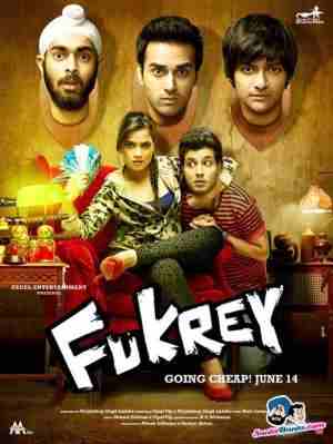 BD50-2D 弗克利 FUKREY (2013) 印度 