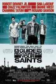 BD50-2D 圣徒指南/放下屠刀 A GUIDE TO RECOGNIZING YOUR SAINTS (2006) 豆瓣7.2 