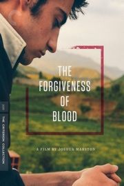 血腥的宽恕/血之救赎 THE FORGIVENESS OF BLOOD (2011) CC标准收藏版 豆瓣7.2 