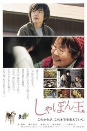肥皂泡 日本 2017 