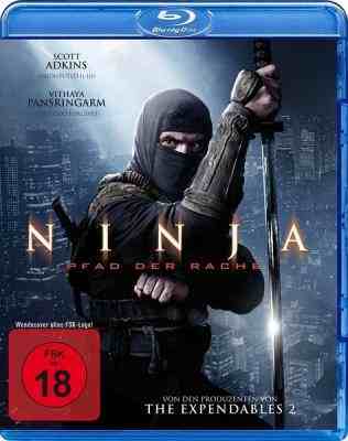 忍者2 NINJA：SHADOW OF A TEAR 2013 