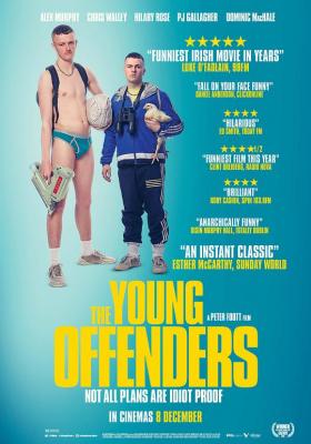 少年犯/寻宝少年犯 THE YOUNG OFFENDERS (2016) 豆瓣7.7 