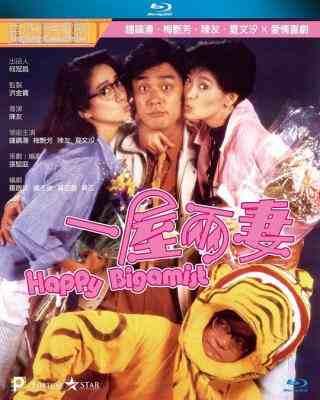 一屋两妻 (1987) 港产片 豆瓣6.5 