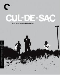 荒岛惊魂/孤岛穷途 CUL-DE-SAC‎ (1966) CC标准版 豆瓣7.3 