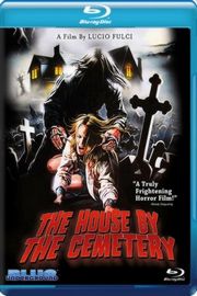 BD50-2D 守墓屋 THE HOUSE BY THE CEMETERY (1981) 豆瓣6.2 
