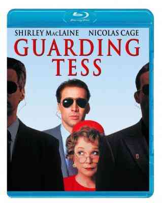第一夫人的保镖/保护泰丝 GUARDING TESS (1994) 豆瓣6.9 