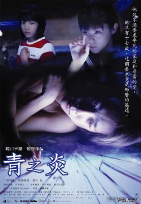 青之炎/十七岁完全犯罪 (2003) 日本 豆瓣8.7  