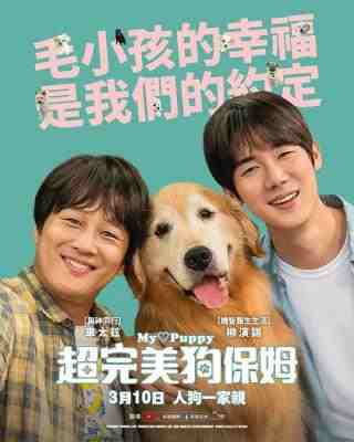 小狗小心肝 2023<我的野蛮女友>车太贤 <机智医生生活>柳演锡 本色主演韩国2023喜剧佳作 