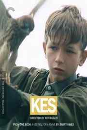 小孩与鹰/凯斯 KES （1969） 被认为是英国有史以来最伟大的作品之一 豆瓣8.5 