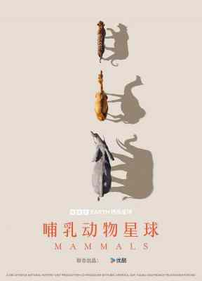 哺乳动物星球 2碟装 2024开年大献欢迎来到哺乳动物星球 
