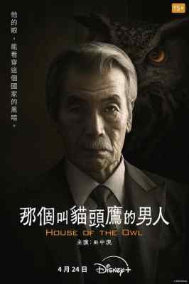 黑幕风云 2碟装 2024迪斯尼出品2024最新犯罪悬疑日剧 