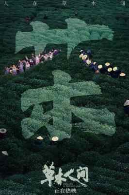 草木人间 2024年由顾晓刚执导反传销题材电影 