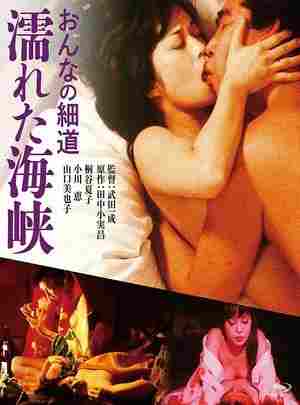 女人的小道：濡湿海峡 (1980) 日本  