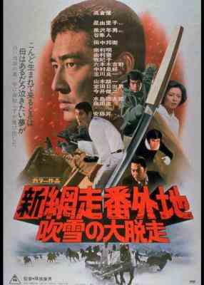 新网走番外地：暴风雪中的逃亡 (1971) 日本 高仓健 