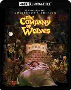 4K UHD 狼之一族/与狼为伴 THE COMPANY OF WOLVES (1984) 杜比视界 豆瓣7.2 