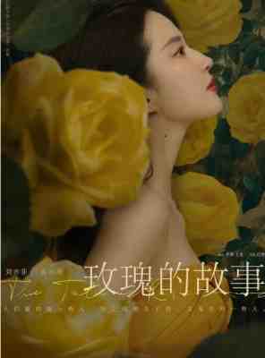 玫瑰的故事 4碟装 2024年未播先火的大女主现代剧 改编自亦舒长篇同名小说 