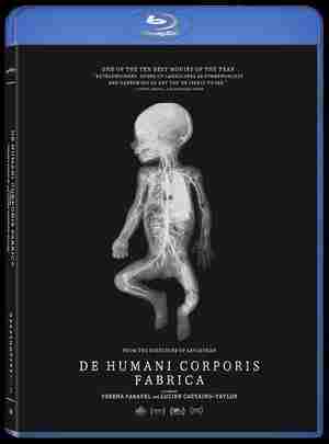 BD50-2D 人体结构/人体万花胴 DE HUMANI CORPORIS FABRICA‎ (2022) 豆瓣7.3 