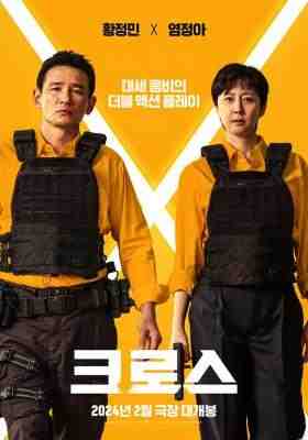 跨界任务 2024年韩国最新上映喜剧动作片 