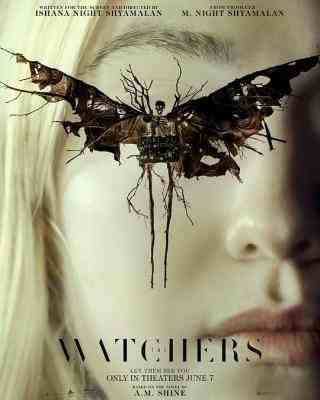 BD50 神秘窥视/窥探者 THE WATCHERS (2024) 全景声 豆瓣5.8 