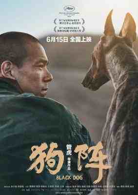 狗阵 2024豆瓣评分7.2分 彭于晏 领衔主演2024国产剧情大作 