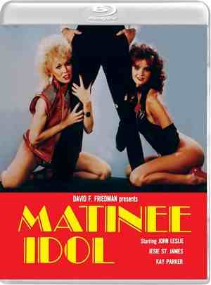 妹子杀手 MATINEE IDOL (1984) 