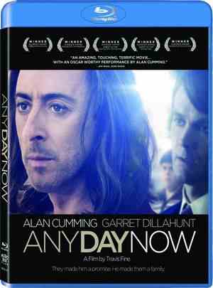 爱若此时/大爱同行 ANY DAY NOW (2012) 豆瓣8.0  