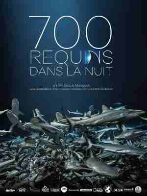 鲨鱼探秘 700 REQUINS DANS LA NUIT‎ (2019) 高清版 