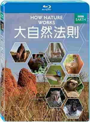 BD50-2D 自然的运作/探寻大自然的运作法则 HOW NATURE WORKS (2013) 豆瓣8.7 