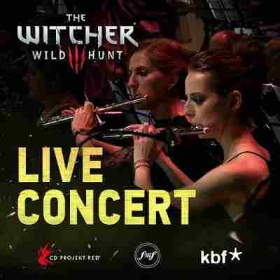巫师3：狂猎交响音乐会 THE WITCHER 3: WILD HUNT CONCERT (2016) 豆瓣9.6 