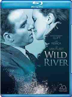 狂澜春醒 WILD RIVER (1960) 豆瓣7.4 