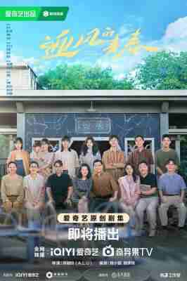 迎风的青春 3碟装 2024年央视最新现代青春剧 