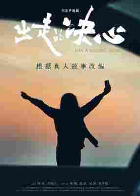 出走的决心 2024年度口碑爆款，豆瓣9.0分 华语电影 
