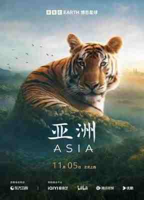 亚洲 2碟装 2024年英国上映纪录片 