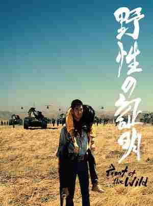 BD50 野性的证明 1978 曾被誉为推理巨片 2013独家发行 豆瓣6.9 日本  