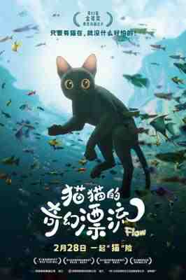 猫猫的奇幻漂流/喵的奇幻漂流 Straume (2024) 正式版 豆瓣8.4 