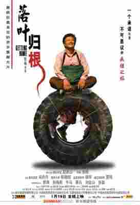 4K-25G 落叶归根/回家‎ (2007) 豆瓣8.6  