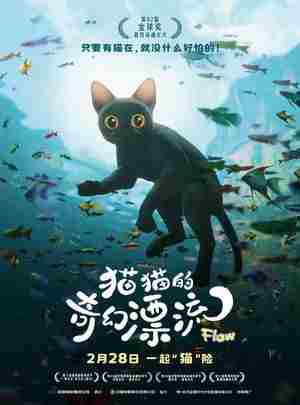 BD50-2D 猫猫的奇幻漂流/喵的奇幻漂流 Straume (2024) 豆瓣8.4 