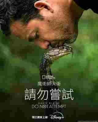 大卫·布雷恩：请勿尝试 2碟装 2025年美国上映纪录片 